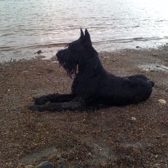 rosannejepsky